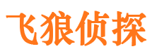 仙居市调查公司